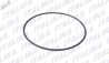 [E02030115] O-RING D75 d2.5 FT250 2016