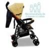 CARRIOLA DE BASTON ZOE