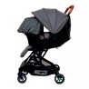Carriola Multiusos Lock It Grey W/Black