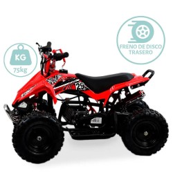 CUATRIMOTO GASO TRX-8 SK web