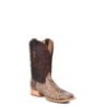 Bota Corral Brown Python – A4499