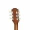 Guitarra Les Paul Standard 50s Figured (Incl. Premium Gig Bag), Bourbon Bourst