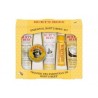 Burt's Bees Cofre Essential Body