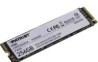 Disco Duro SSD Patriot P300 M.2 2280 PCIe GEN 3 x4