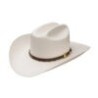 Sombrero Stetson Evilla de Oro 1000X Natural