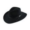 Texana Stetson Carson 6X