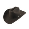Texana Stetson Corral 4X