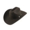 Texana Stetson Corral 4X