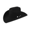 Texana Stetson Corral 4X