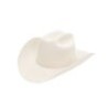 Texana Stetson El Amo 500X