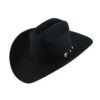 Texana Stetson Shasta 10X Copa Alta