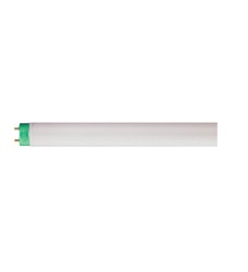 Lampara Fluorescente 32 W  T8 6500 K Philips
