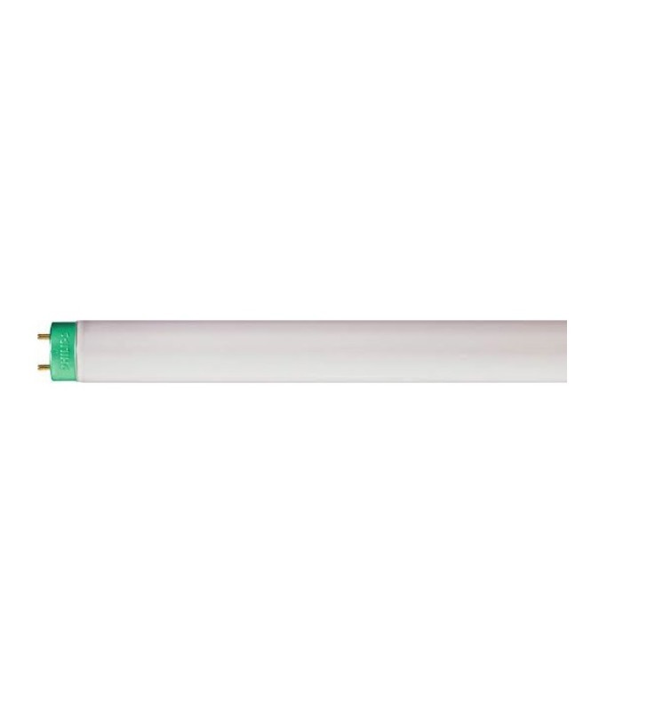 Lampara Fluorescente 32 W  T8 6500 K Philips