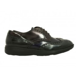 Fratelli Zapato con Agujeta Negro