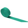 Rollo Plana Verde 19 mm 100 metros