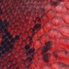 Gorra Bestico Café/Rojo Mod. Águila