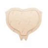 Mepilex Border Sacrum