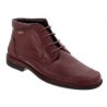 Pikolinos Zapato Oviedo Con Agujeta Café