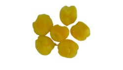 POMPON 25MM C/100 PIEZAS