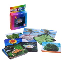 Memopares de Plantas