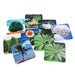 Memopares de Plantas