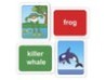 Memory Game Image Text