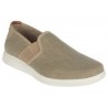 Tenis Steve Madden café