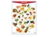 Póster Fruits/Vegetables