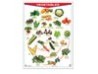 Póster Fruits/Vegetables