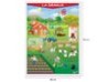 Póster La Granja