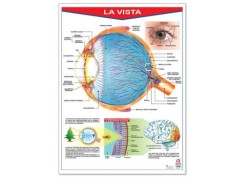 Póster La Vista
