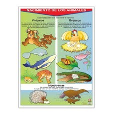 Póster Nacimiento de los Animales