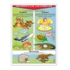 Póster Nacimiento de los Animales