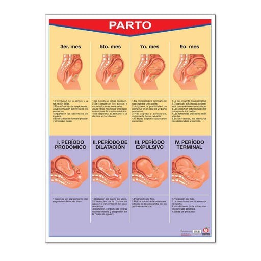 Póster parto