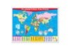 Póster Planisferio Político / Political World Map