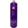Color Me Shampoo sella y mantiene el cabello teñido 1L - Kuul