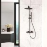 Tzar columna telescópica termostática rociador Ø 250 mm y accesorios metálicos Negro Mate