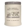 Tratamiento reestructurante y nutritivo para cabello seco, maltratado o químicamente procesado 1k - Loquay