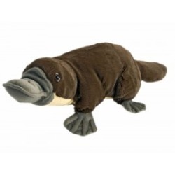 Peluche Wild Republic Cuddlekins Ornitorrinco