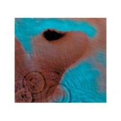 Meddle Pink Floyd LP