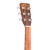 Guitarra Electroacústica Martin GPC-X2E Ziricote