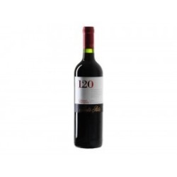 Vino Tinto 120 Santa Rita 750 ml