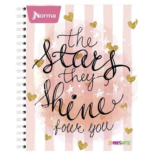 CUADERNO PROFESIONAL 100H