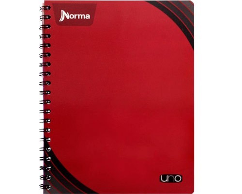 CUADERNO PROFESIONAL DO UNO 100H