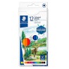 LAPIZ DE COLOR HEXAGONAL 12 PZ