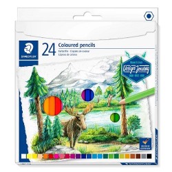 LAPIZ DE COLOR HEXAGONAL 24 PZ