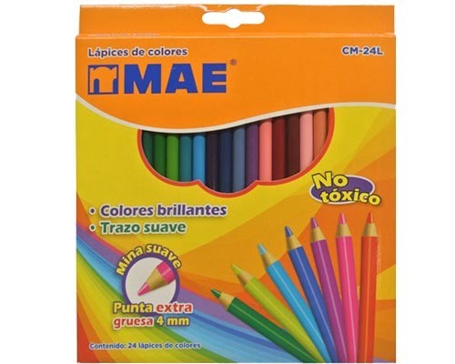 LAPIZ DE COLOR LARGO 24PZ