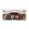 Tequila es México con 10 Botellines