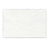 PAPEL ALBANENE GRUESO 140/145GRS 61X91