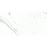 PISO PORCELANICO 120X60 COLOSSALE BRILLANTE PP143